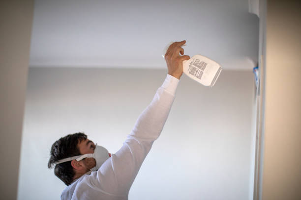 Best Affordable Mold Removal  in Pemberville, OH